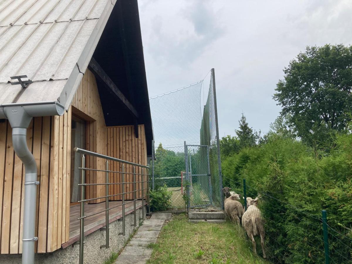 Retro Chaty Sobesky Horní Soběšovice エクステリア 写真